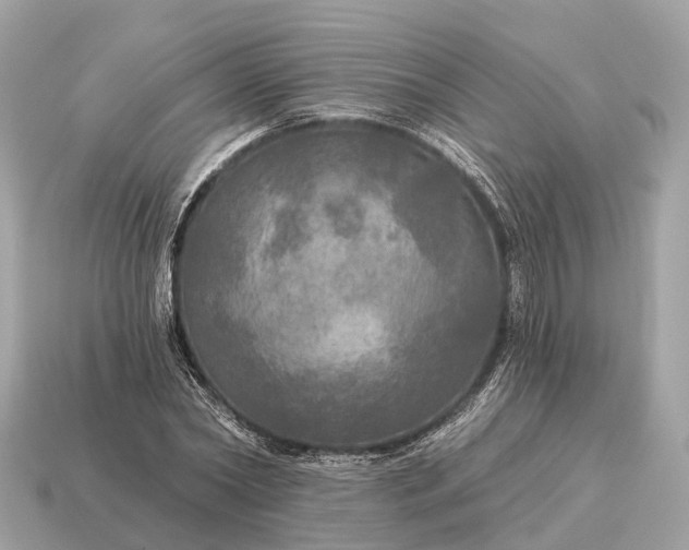 X0000115130782200911101646