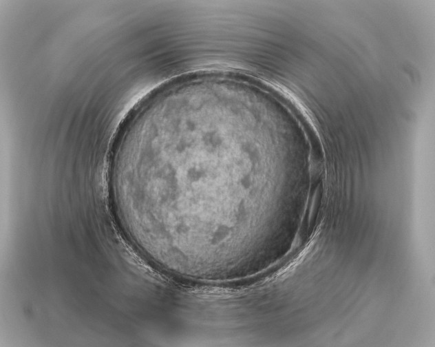 X0000115130783200911101646