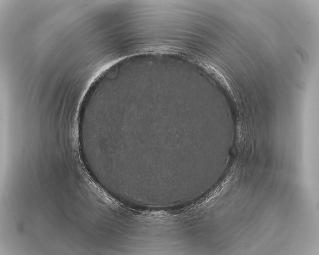 X0000115130784200911101646