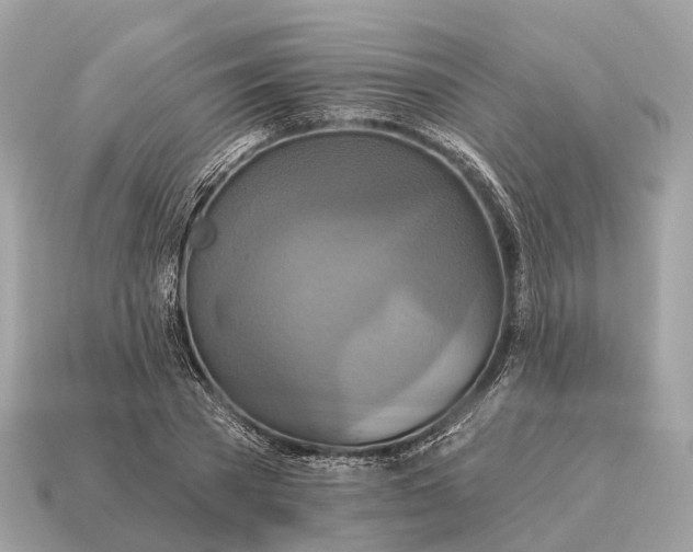 X0000115130785200911101646