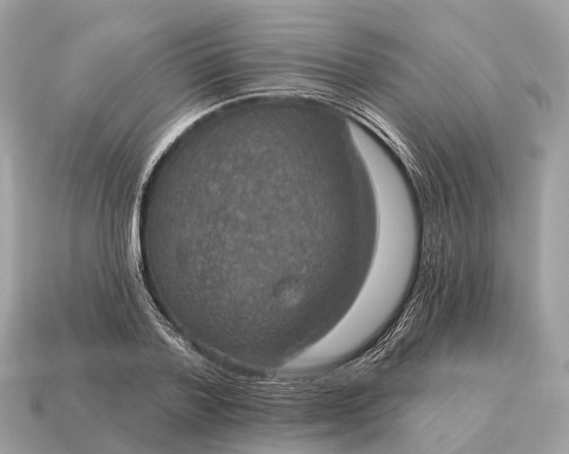 X0000115130788200911101646