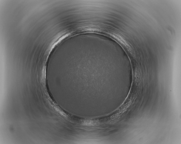 X0000115130790200911101646