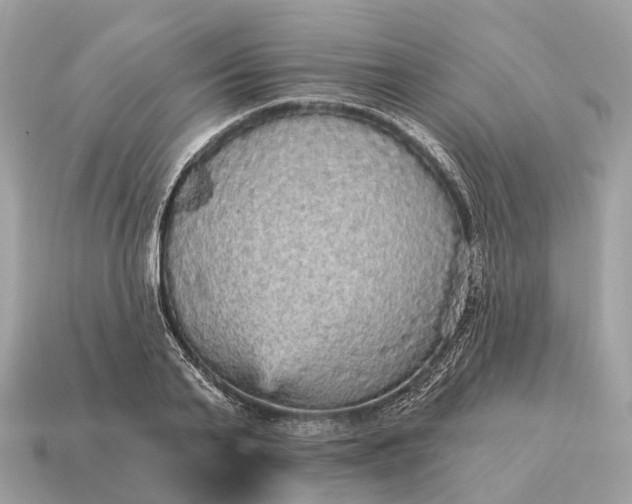 X0000115130791200911101646