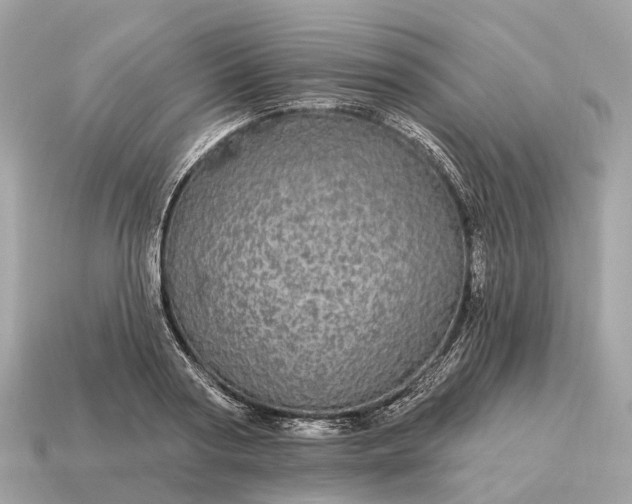 X0000115130794200911101646