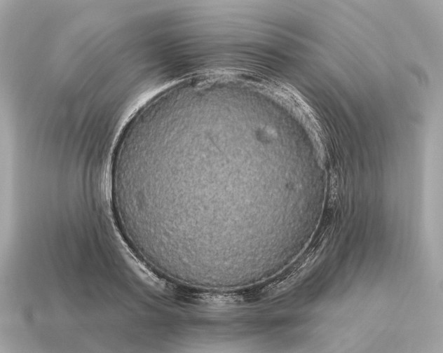 X0000115130795200911101646