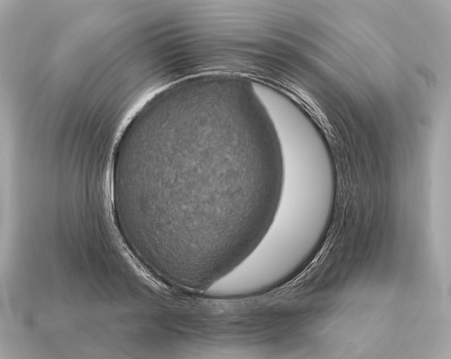 X0000115130796200911101646