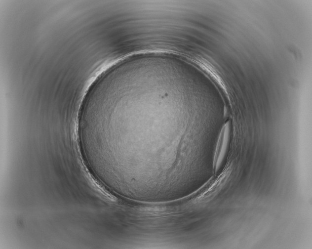 X0000115130797200911101646