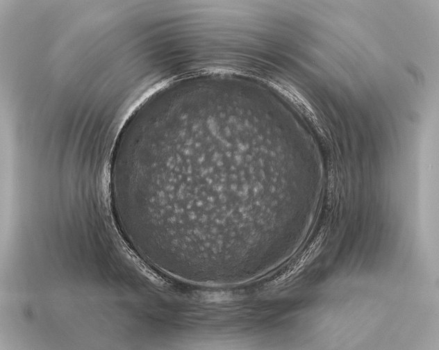 X0000115130798200911101646