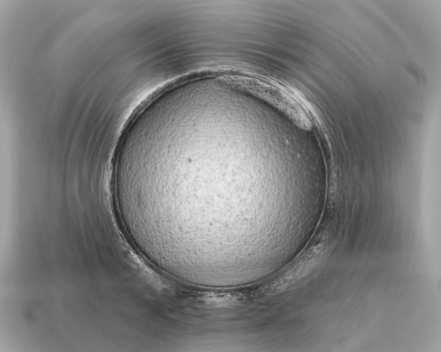 X0000115130799200911101646