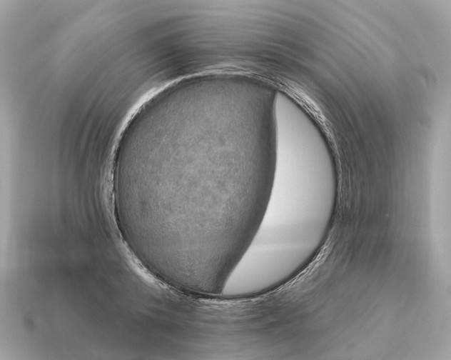 X0000115130800200911101646