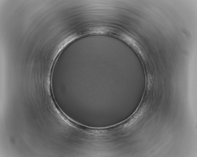 X0000115130802200911101646