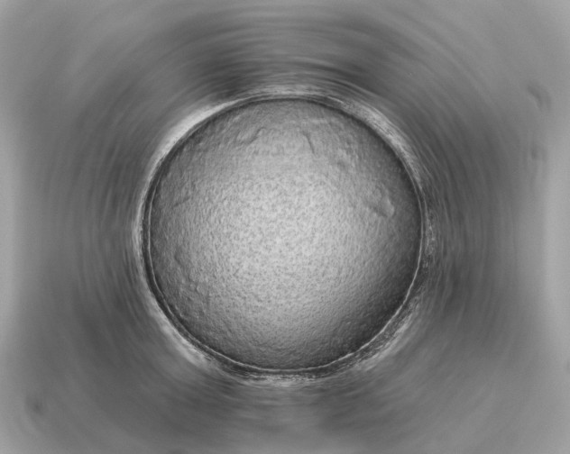 X0000115130803200911101646