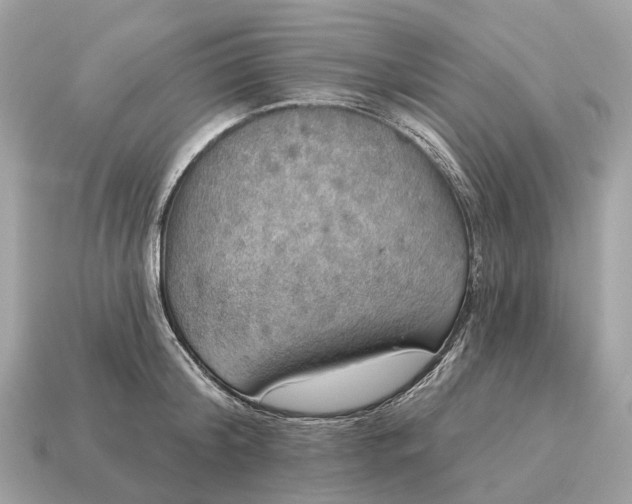 X0000115130804200911101646