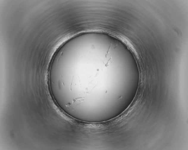 X0000115130805200911101646
