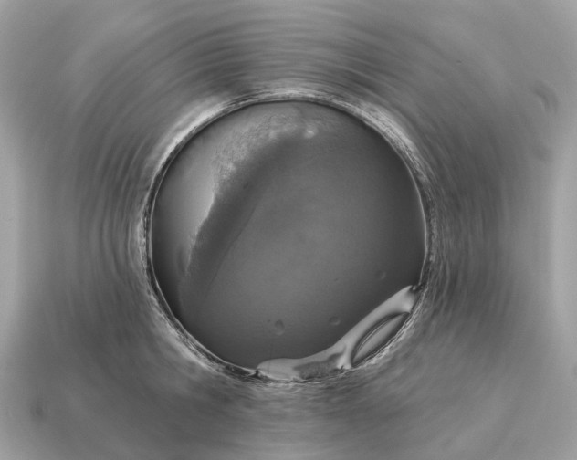 X0000115130806200911101646