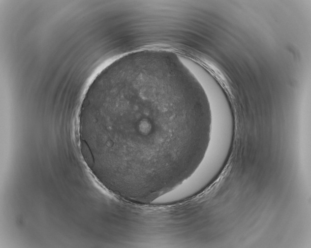 X0000115130808200911101646