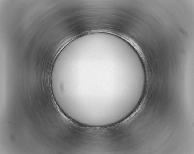 X0000115130809200911101646