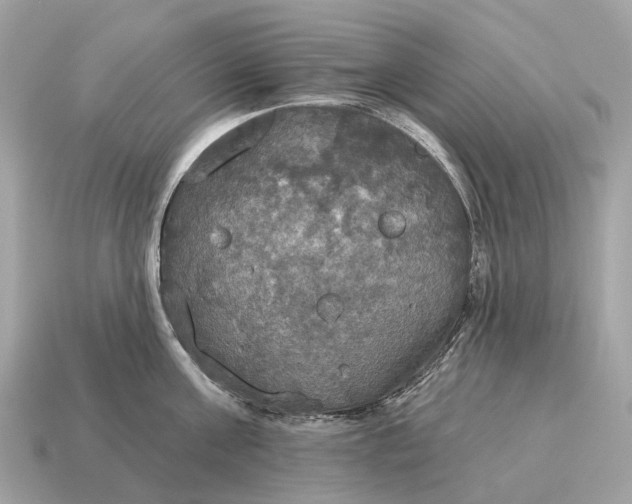 X0000115130811200911101646