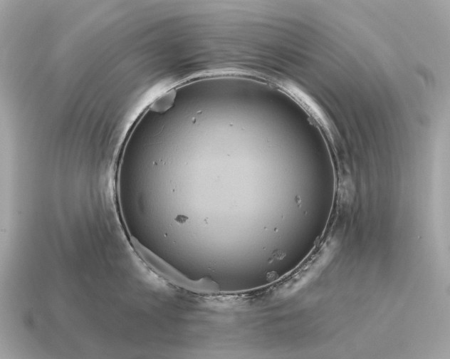 X0000115130813200911101646