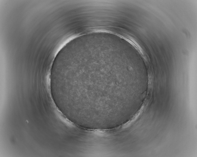 X0000115130814200911101645