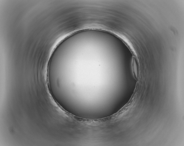 X0000115130815200911101645
