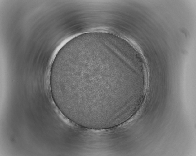 X0000115130816200911101645