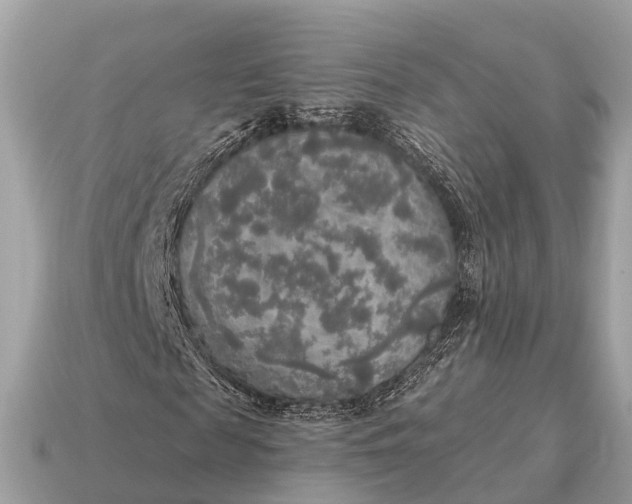 X0000115130817200911101645