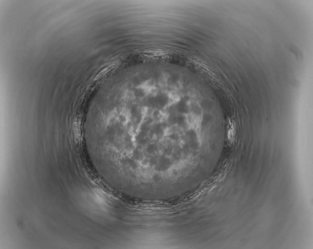 X0000115130819200911101645