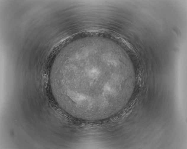 X0000115130821200911101645