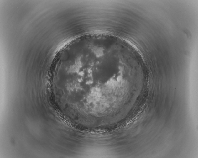 X0000115130823200911101645