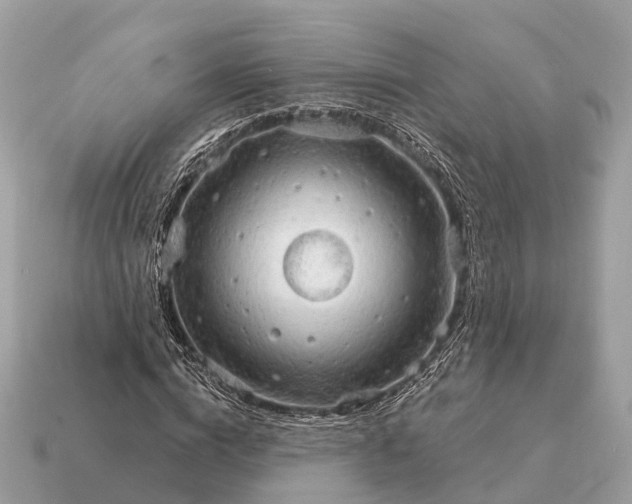 X0000115130824200911101645