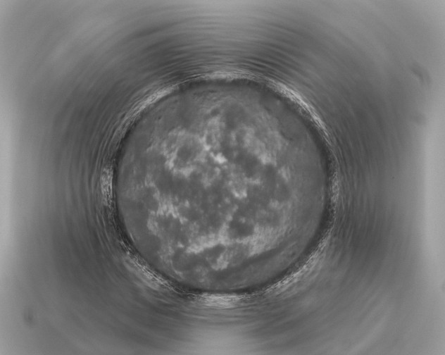 X0000115130825200911101645
