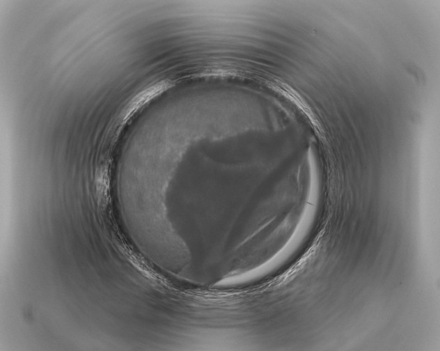 X0000115130826200911101645