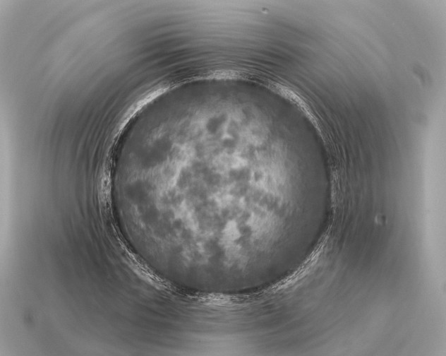 X0000115130827200911101645