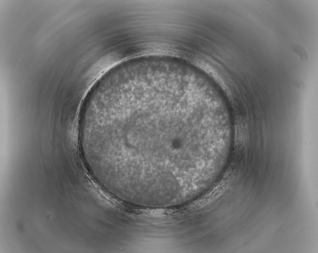 X0000115130828200911101645