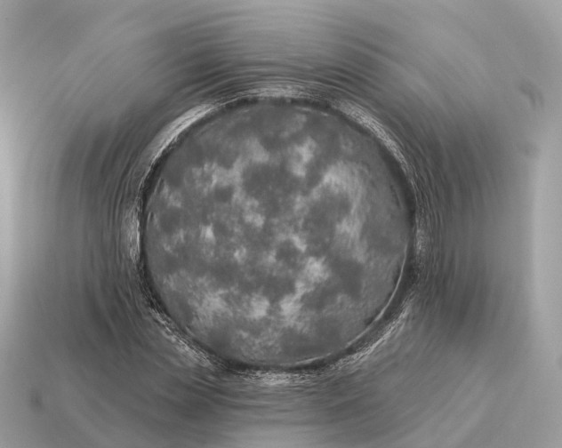 X0000115130829200911101645