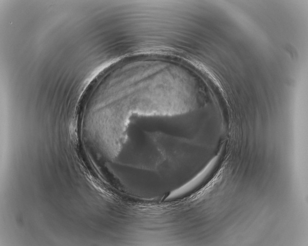 X0000115130830200911101645