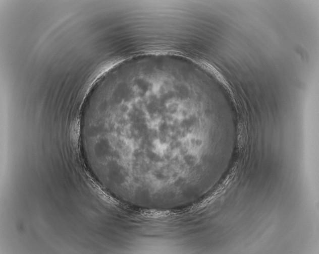 X0000115130831200911101645