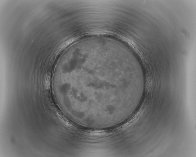 X0000115130833200911101645