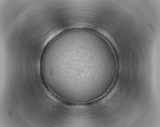 X0000115130834200911101645