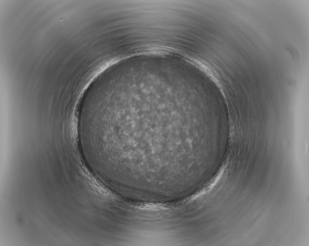 X0000115130835200911101645