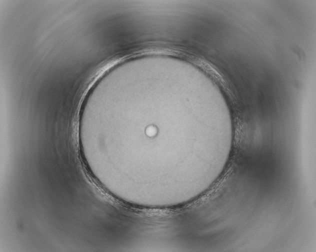 X0000115130836200911101645