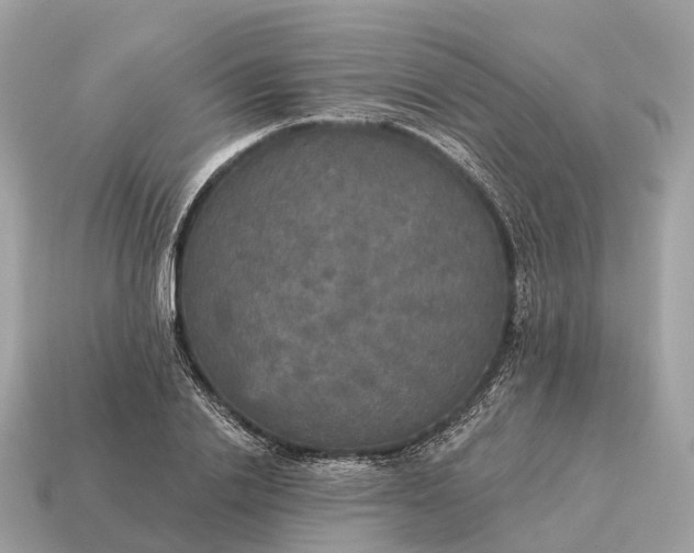 X0000115130838200911101645
