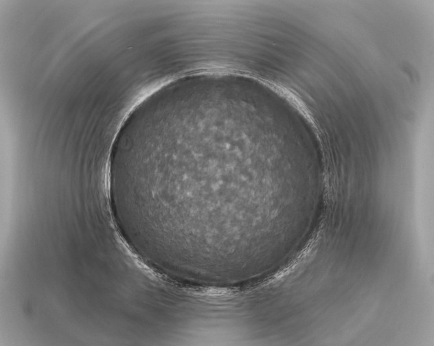 X0000115130839200911101645
