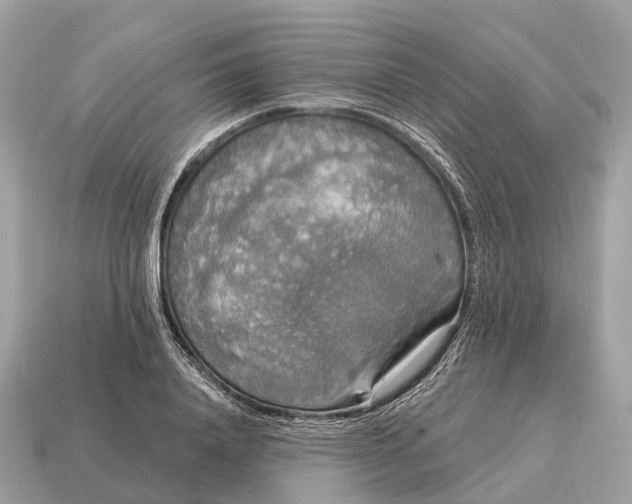 X0000115130840200911101645