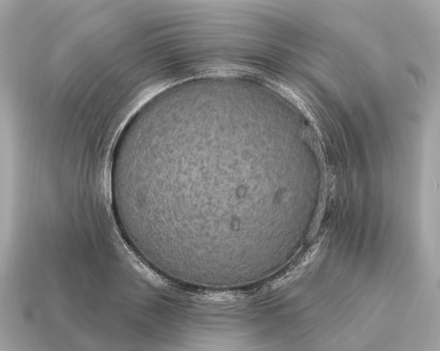 X0000115130843200911101645