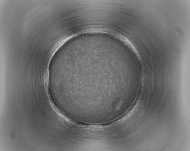 X0000115130844200911101645