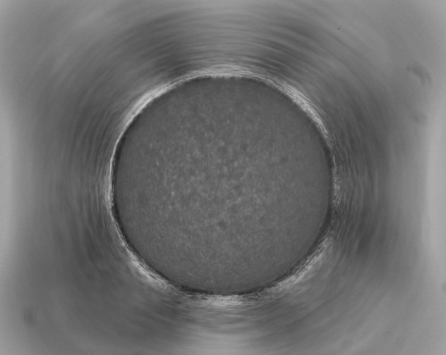 X0000115130845200911101645