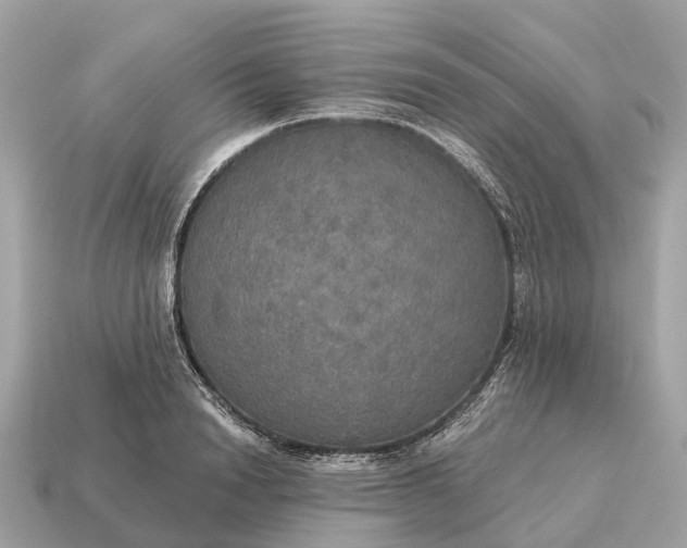 X0000115130846200911101645