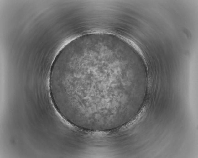 X0000115130847200911101645